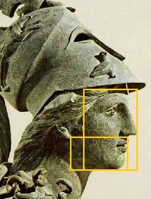 In this Statue of Athena, the first Golden Ratio is the length from the front head to the ear opening compared with the length from the forehead to the chin. The second one appears in the ratio of the length from the nostril to the earlobe compare with the length from the nostril to the chin.